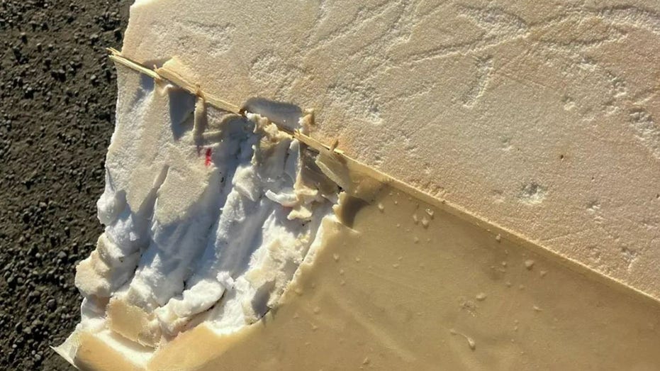 Surfer says shark attack felt 'like being hit by a car' as board bitten in half: reports Education NSW